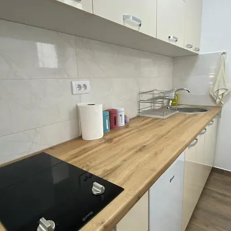 Ruzica Apartment Soko Banja